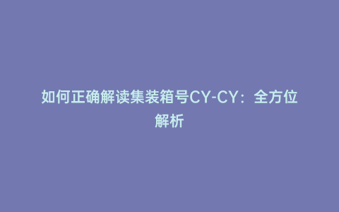 如何正確解讀集裝箱號CY-CY：全方位解析