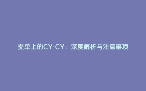 提單上的CY-CY:深度解析與注意事項