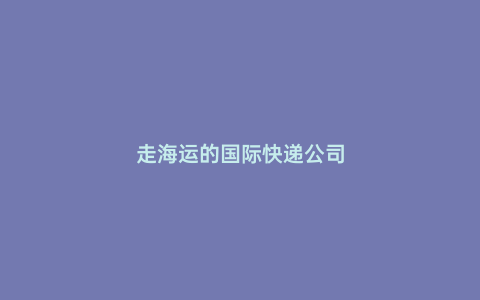 走海運的國際快遞公司