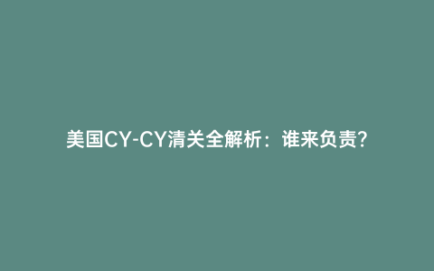 美國CY-CY清關(guān)全解析:誰來負(fù)責(zé)?