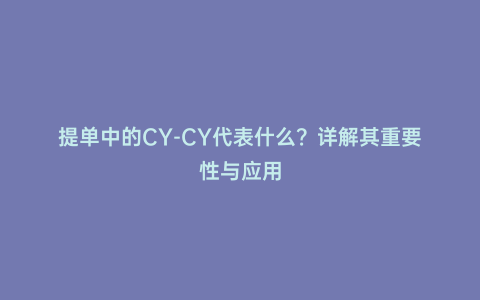 提單中的CY-CY代表什么？詳解其重要性與應用
