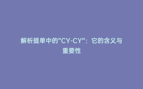 解析提單中的“CY-CY”:它的含義與重要性