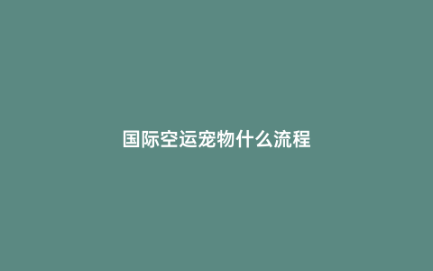 國際空運寵物什么流程