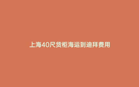 上海40尺貨柜海運到迪拜費用